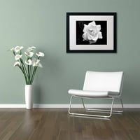 Gardenia u crno -bijeloj platno umjetnost Kurta Shaffera, bijela mat, crni okvir