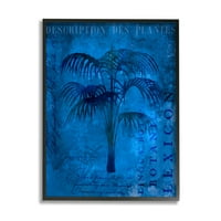 Stupell tropska palmina biljka kolaž pejzažno slikanje crno uokvirena umjetnička print zidna umjetnost