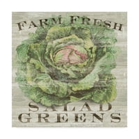 Zaštitni znak likovne umjetnosti 'Farma svježeg zelenila' platno umjetnost Sue Schlabach