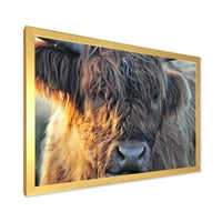 DesignArt 'Izbliza škotske krave na seoskoj kući moorlanda III' Umjetnički print koji je uokviren